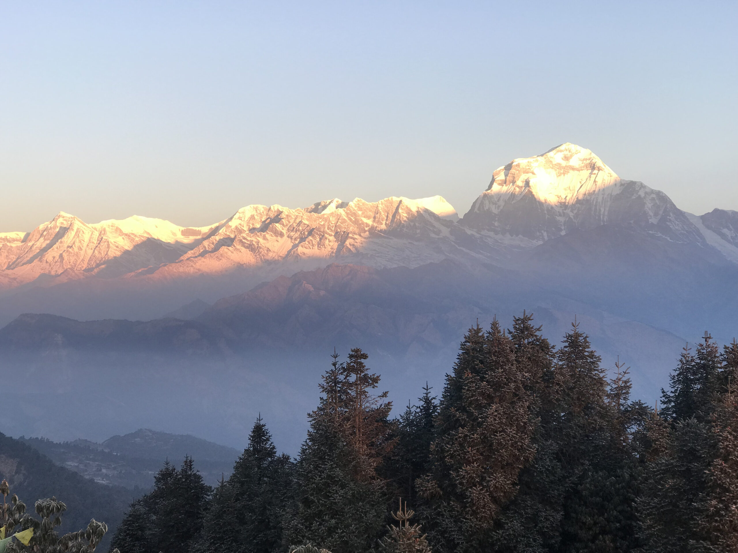 Ghorepani Poon Hill Trek