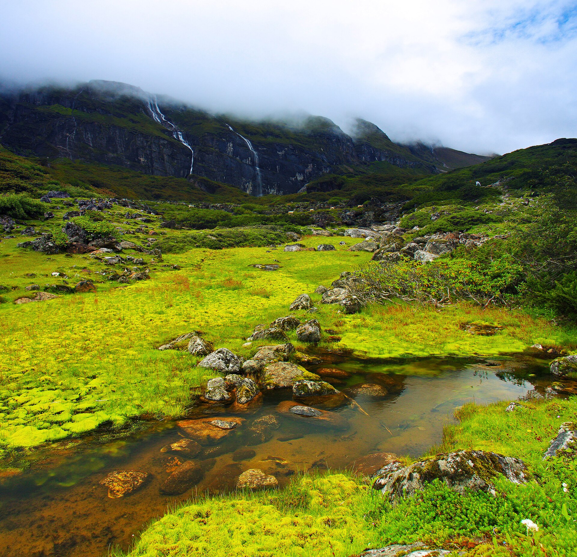 Barun Valley Trek