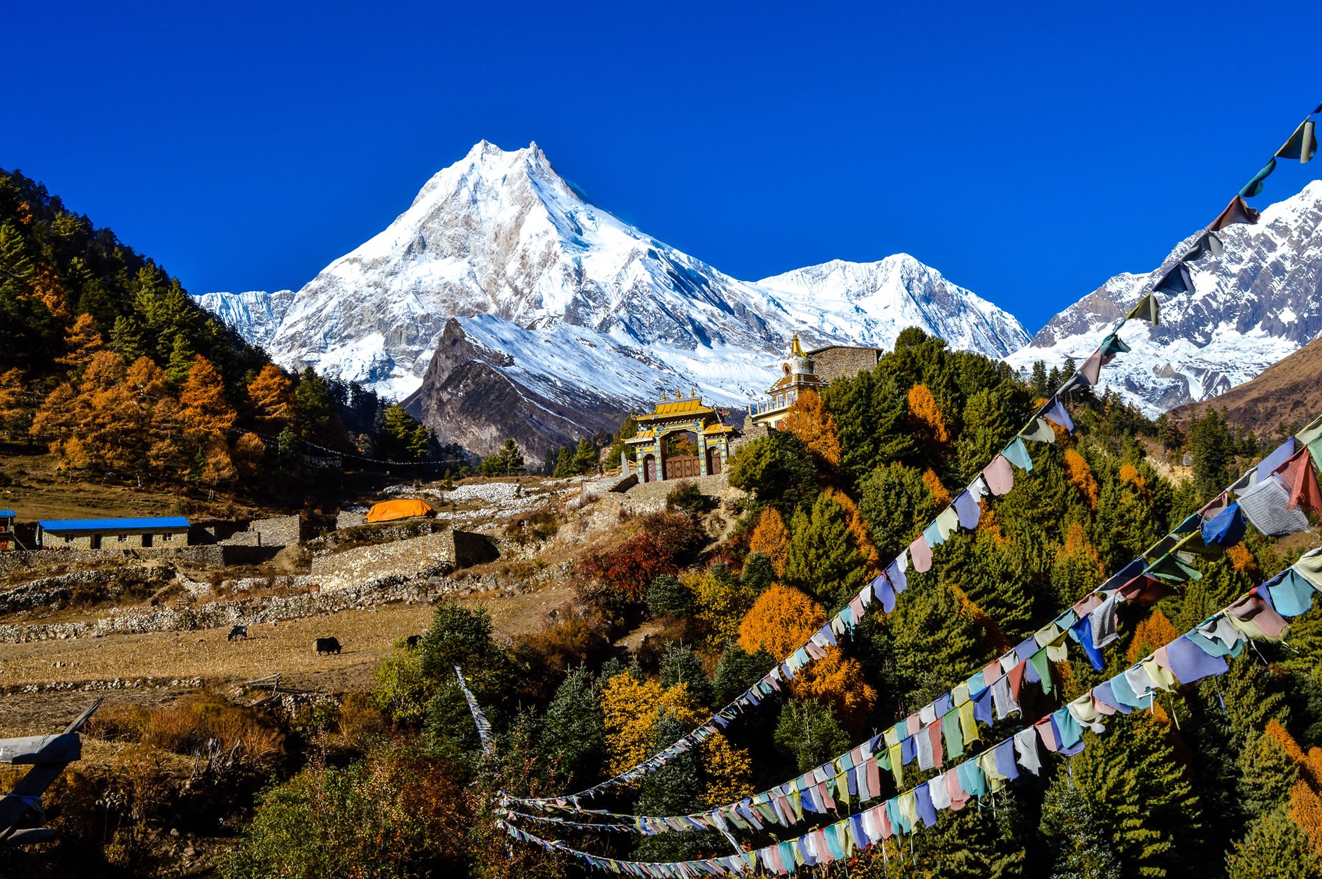 manaslu circuit